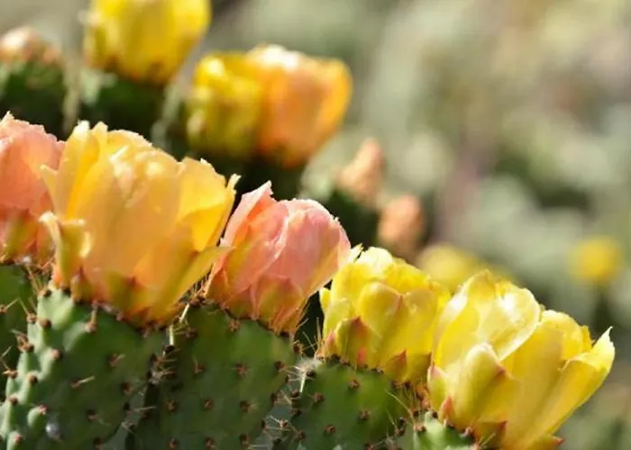 Gianni House Backpackers